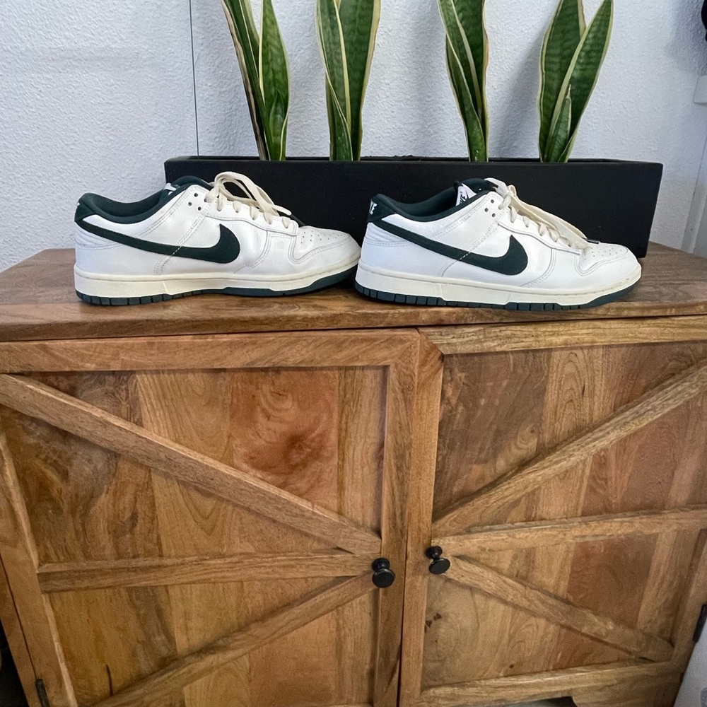 Nike dunks athletic department men’s 9.5